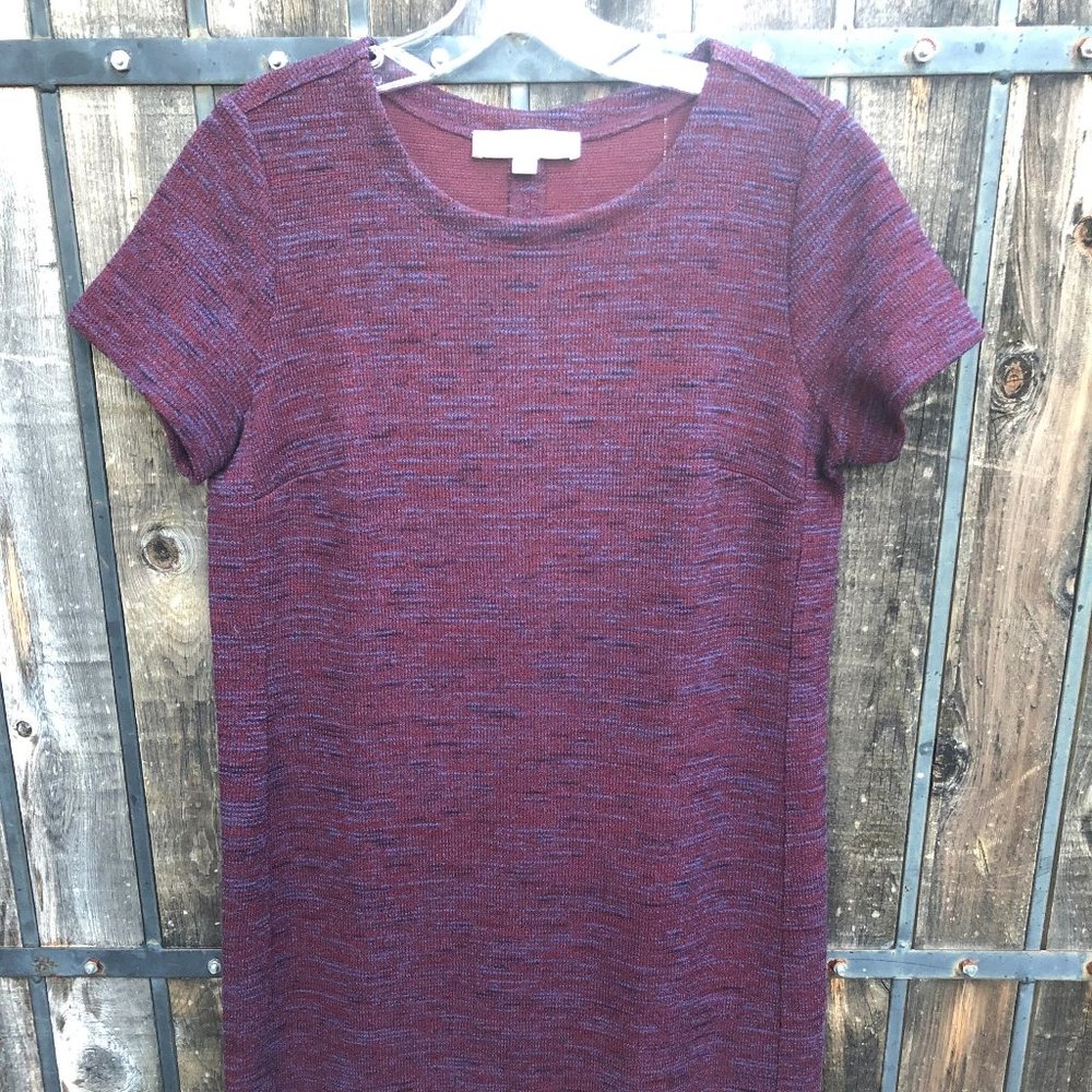 Women's short-sleeve purple dress.